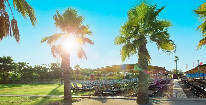 Отели Анталии 2024 - Port Nature Luxury Resort